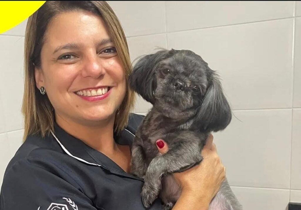 Entenda como e por qual motivo combater a ansiedade em pets!