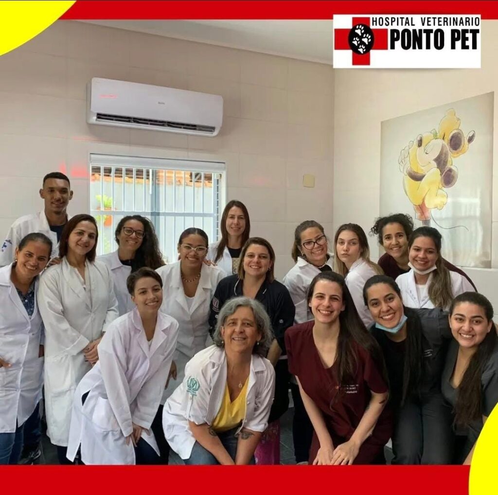 Entenda mais sobre a importância do check-up anual na veterinária!