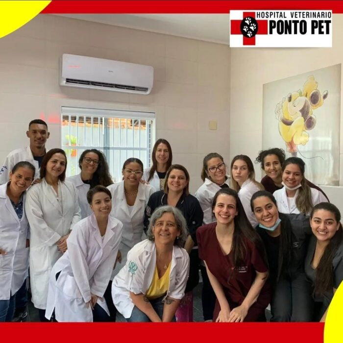 Entenda mais sobre a importância do check-up anual na veterinária!