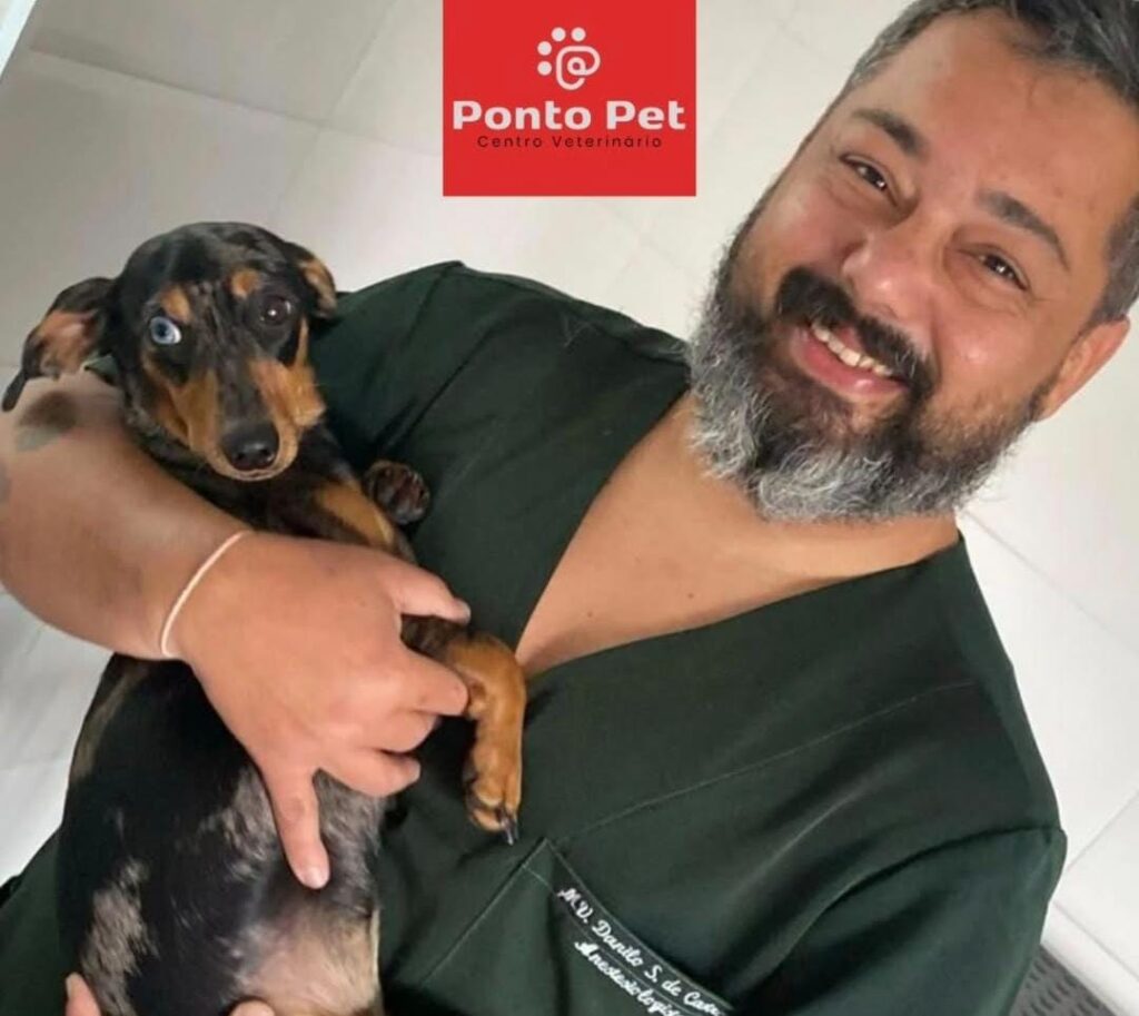 Entenda mais sobre a rinoscopia em pets!
