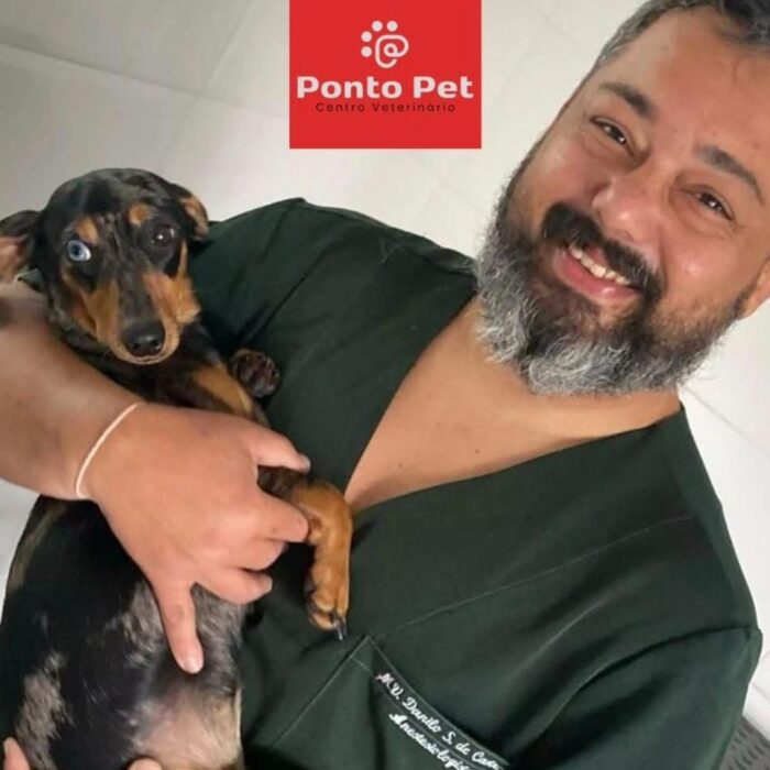 Entenda mais sobre a rinoscopia em pets!
