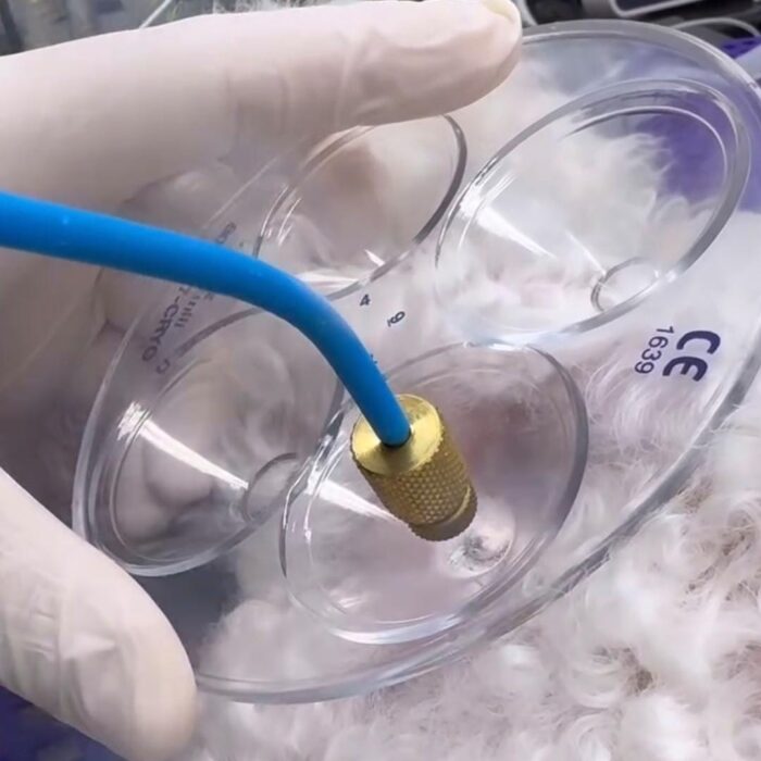 Entenda como fazer o controle de carrapatos e pulgas!