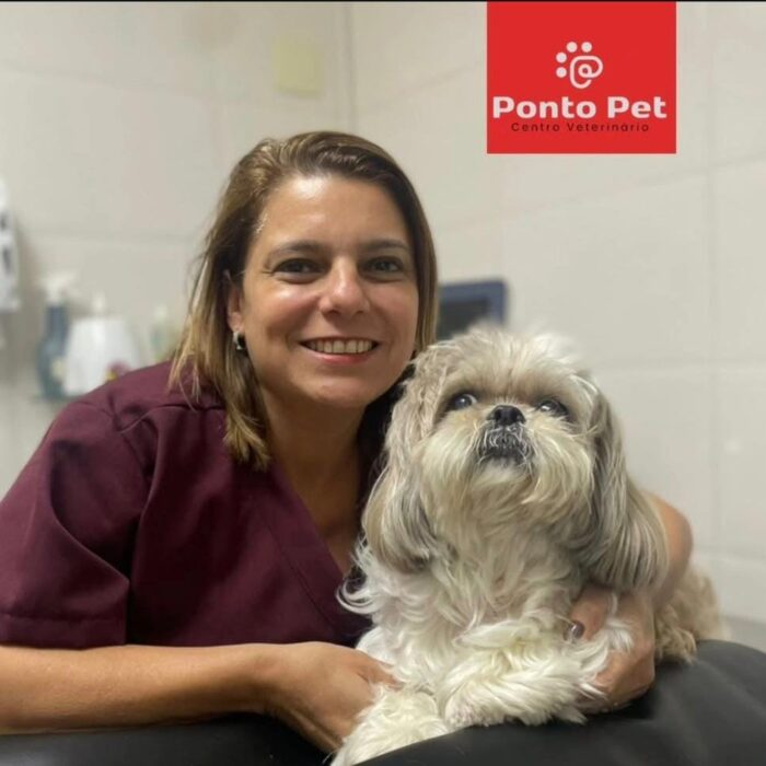 Venha com o Hospital Veterinário Ponto Pet e entenda quando a internação veterinária é essencial!