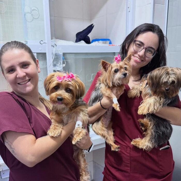 Venha com a Ponto Pet e conheça os principais exames de rotina para eles!
