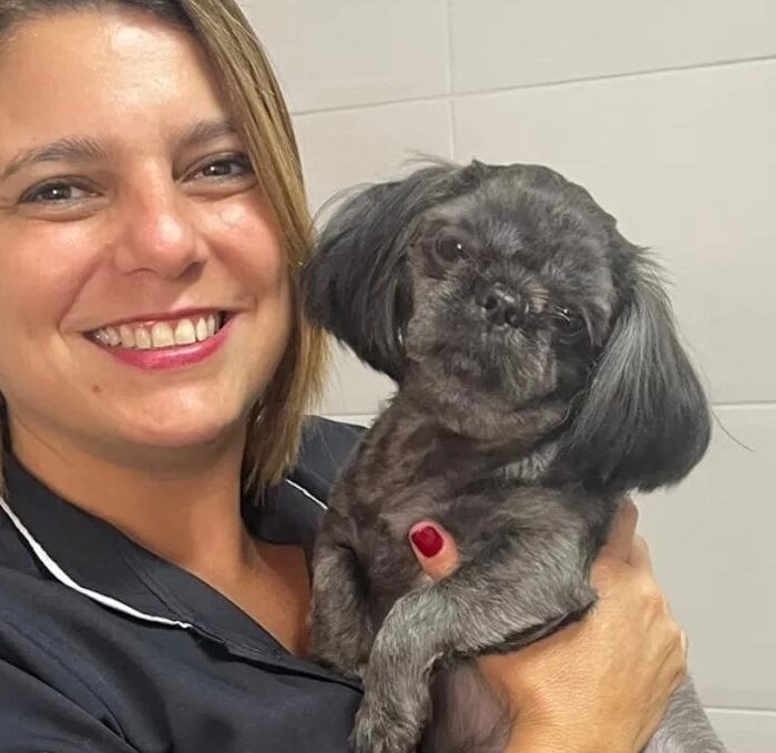 Entenda os sinais e a prevenção com a especialidade de oncologista veterinário!